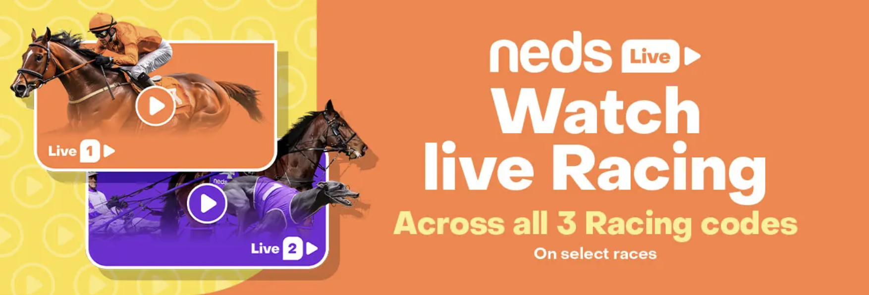 Neds Live Streaming